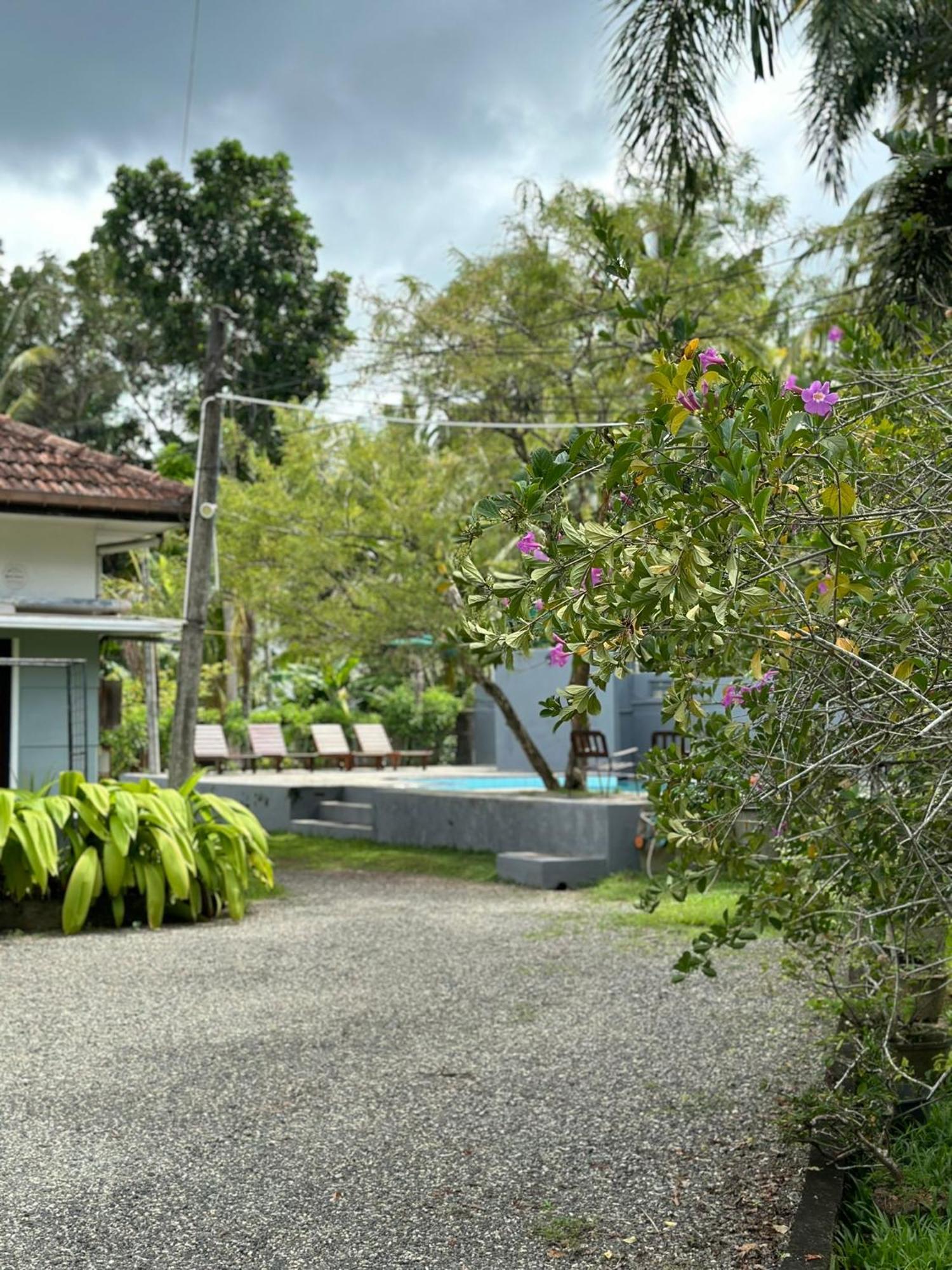 Mango Tree Villa Unawatuna Extérieur photo